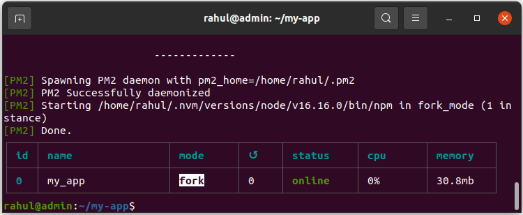 Running npm start with pm2