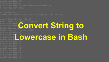 How to Convert String to Lowercase in Bash
