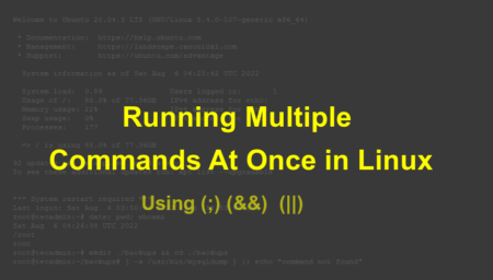 Running Multiple Commands At Once in Linux