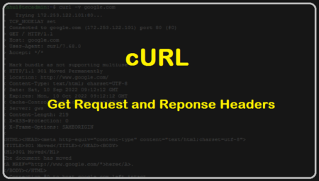 cURL display request header and response header