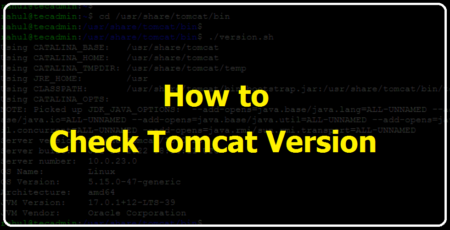 How to Find Tomcat Version