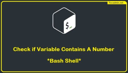 Check if Input is a Number in Bash