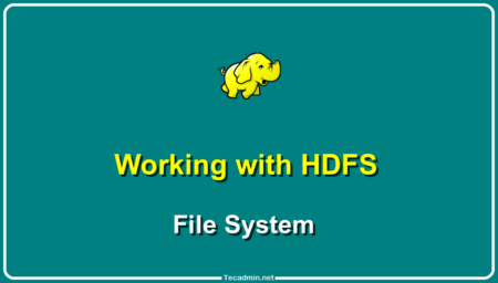 Using HDFS Filesystem (CLI)