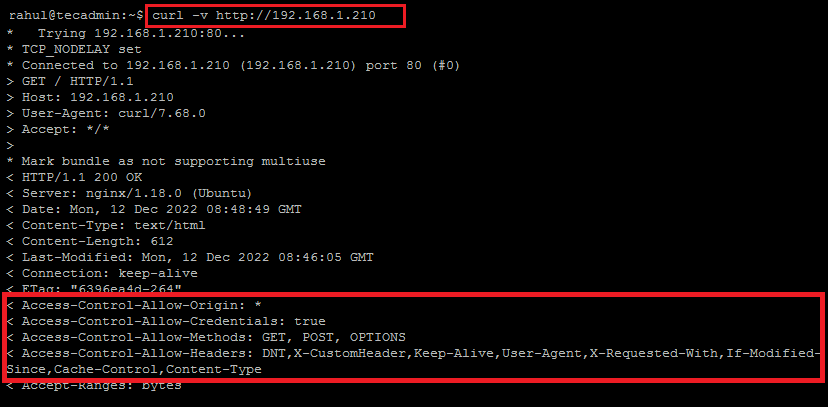 CORS Config for nginx