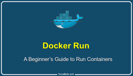 Docker Run: A Beginner’s Guide to Run Docker Containers