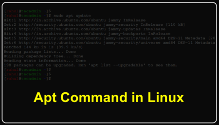 Learn Apt Command Line in Linux
