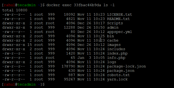 Docker Exec Run Command Inside Container