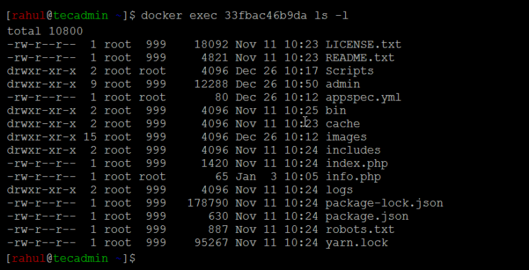 docker-exec-running-commands-in-a-docker-container-tecadmin