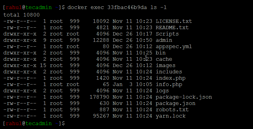 Docker Exec Running Commands In A Docker Container TecAdmin