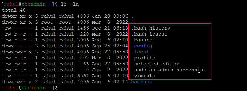 Delete Hidden Files Linux Terminal