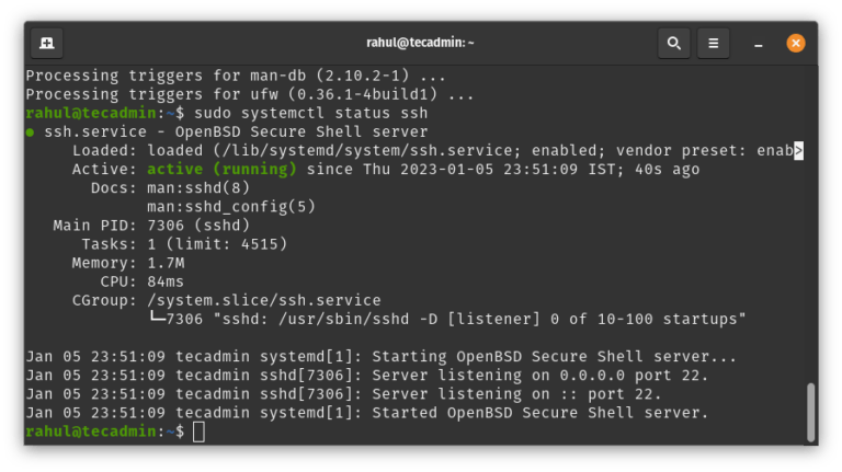 how-to-check-openssh-version-mkyong