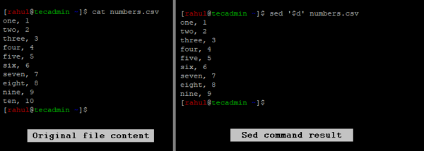 Sed Command Delete Last Line