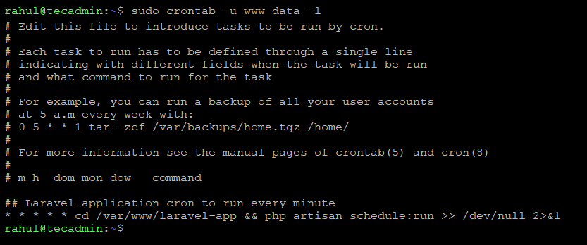 Running a Crontab as www-data User in Linux