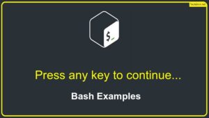 Bash Examples for 