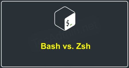 Difference Between ZSH and BASH?