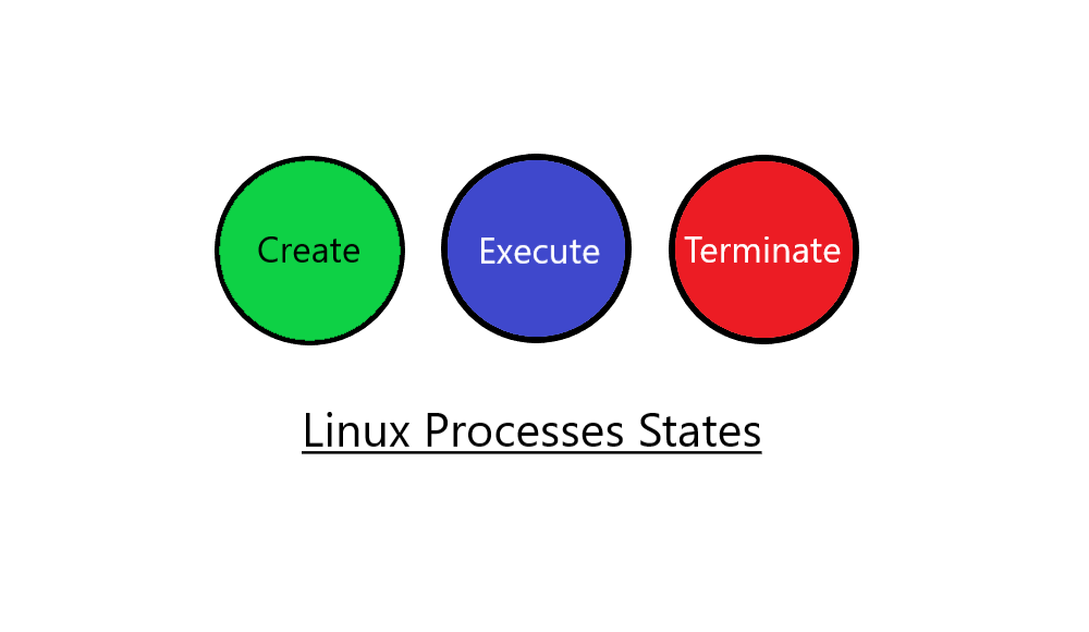 The Essential Guide to Understanding Linux Process Status – TecAdmin