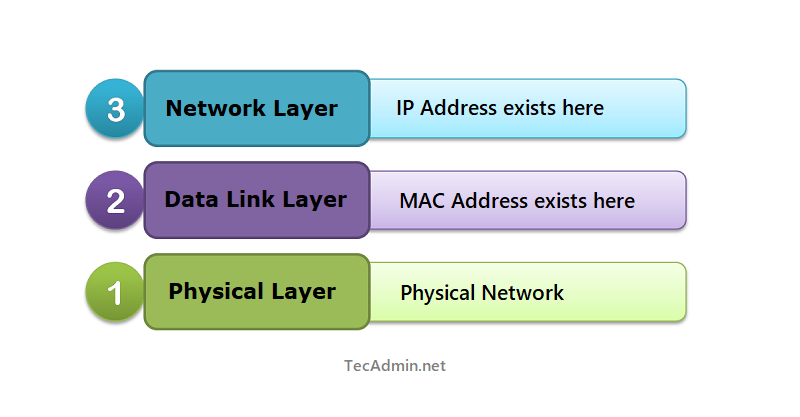MAC Address Layer in OSI Model