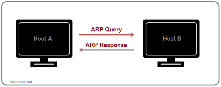 ARP Query vs ARP Response