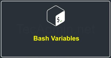 An Introduction to Bash Variables