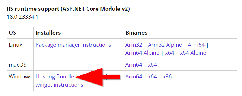 .net 5.0 iis hosting bundle