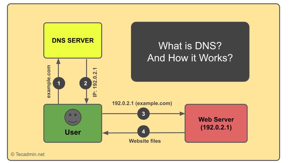 What is DNS? and How it Works?