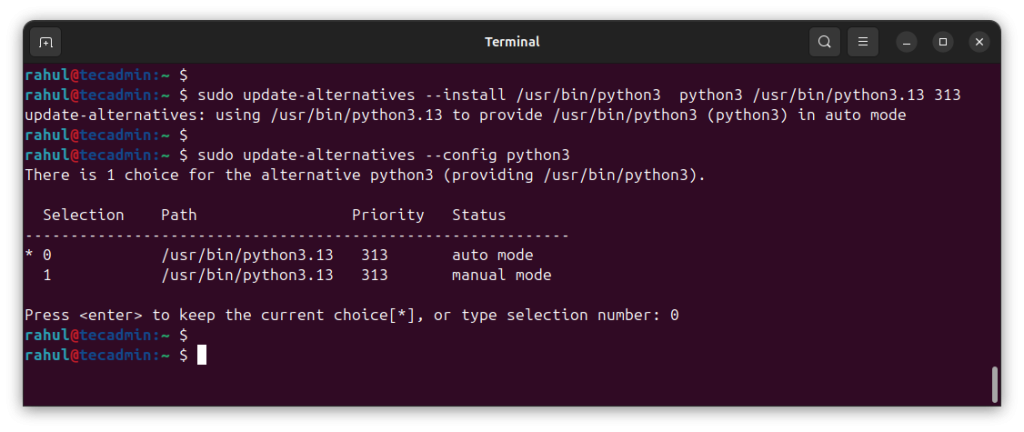 Setup Python 3.13 as Default Version