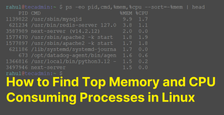 Find Top Memory and CPU-Consuming Processes in Linux