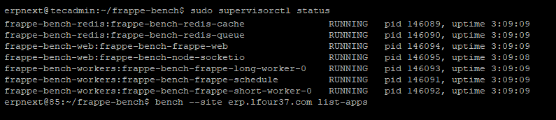 ERPNext Supervisor Setup